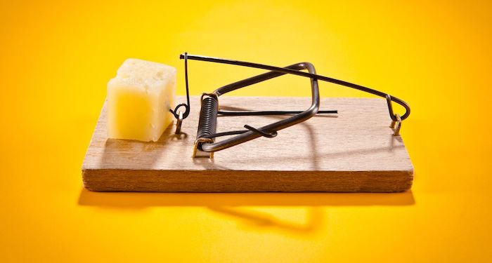 Mouse trap with cheese