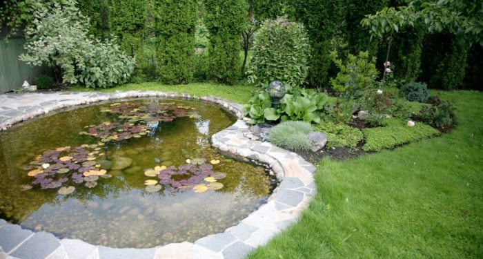 a garden pond